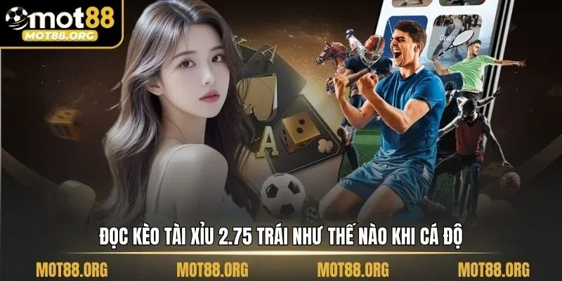 cách đọc kèo tài xỉu